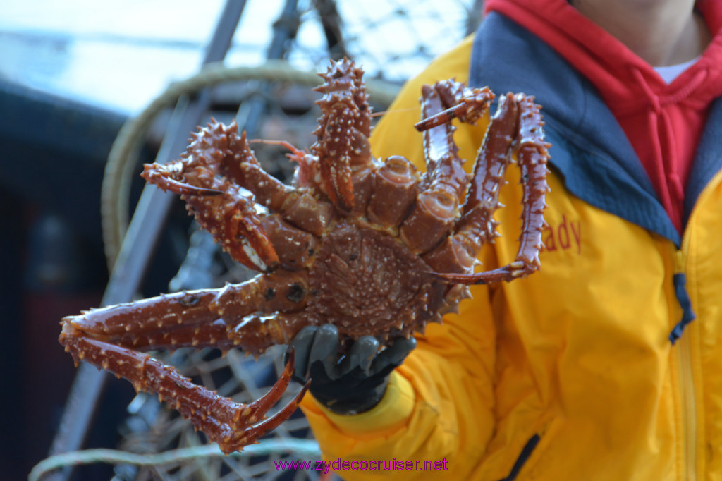 433: Carnival Miracle Alaska Cruise, Ketchikan, Bering Sea Crab Fisherman's Tour, 