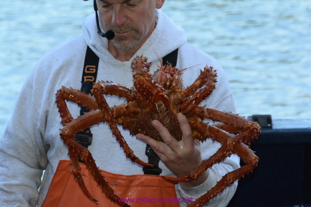 436: Carnival Miracle Alaska Cruise, Ketchikan, Bering Sea Crab Fisherman's Tour, 
