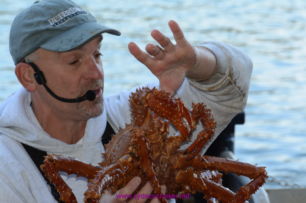 438: Carnival Miracle Alaska Cruise, Ketchikan, Bering Sea Crab Fisherman's Tour, 