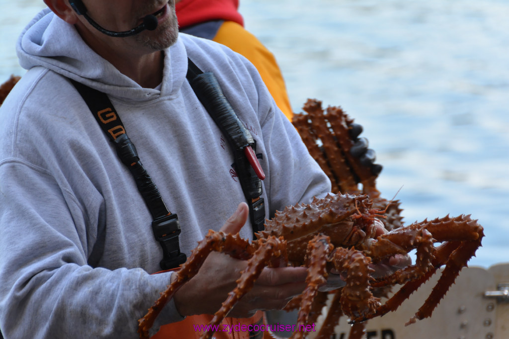 444: Carnival Miracle Alaska Cruise, Ketchikan, Bering Sea Crab Fisherman's Tour, 