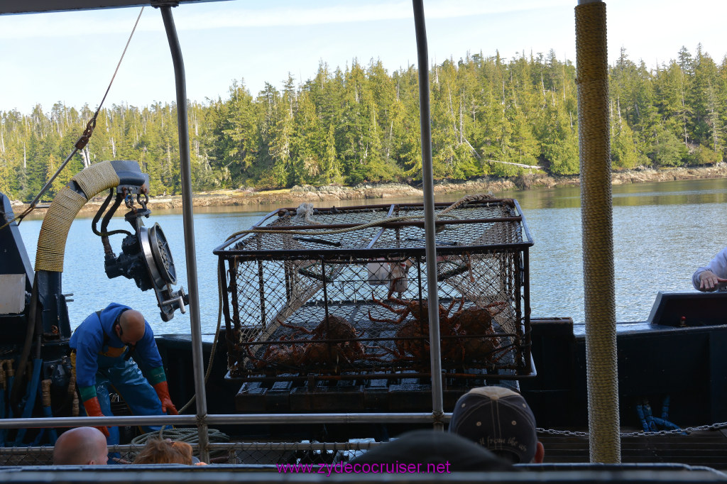 451: Carnival Miracle Alaska Cruise, Ketchikan, Bering Sea Crab Fisherman's Tour, 