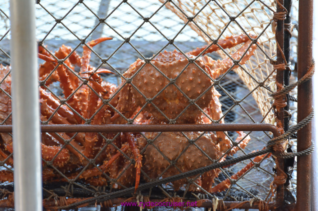 454: Carnival Miracle Alaska Cruise, Ketchikan, Bering Sea Crab Fisherman's Tour, 