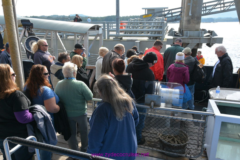 518: Carnival Miracle Alaska Cruise, Ketchikan, Bering Sea Crab Fisherman's Tour, 
