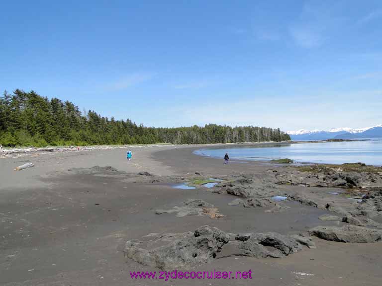 181: Sitka - Captain's Choice Wildlife Quest and Beach Exploration