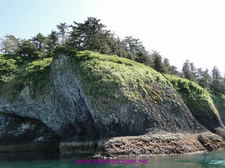213: Sitka - Captain's Choice Wildlife Quest and Beach Exploration