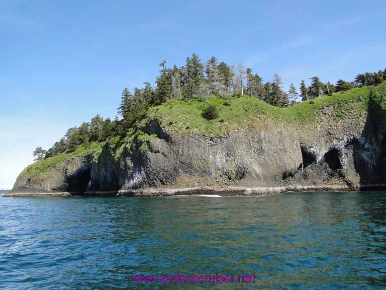 222: Sitka - Captain's Choice Wildlife Quest and Beach Exploration