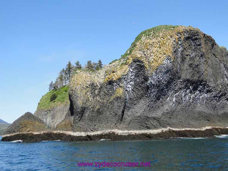 225: Sitka - Captain's Choice Wildlife Quest and Beach Exploration