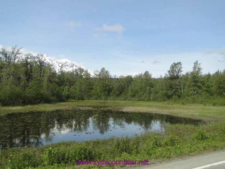 038: Carnival Spirit, Skagway, Alaska - Eagle Preserve Wildlife River Adventure 