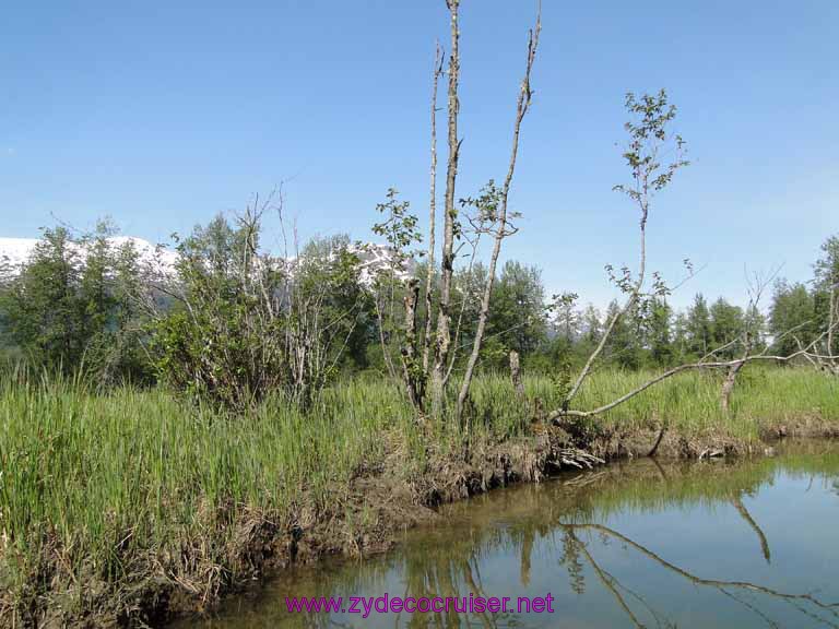 065: Carnival Spirit, Skagway, Alaska - Eagle Preserve Wildlife River Adventure 