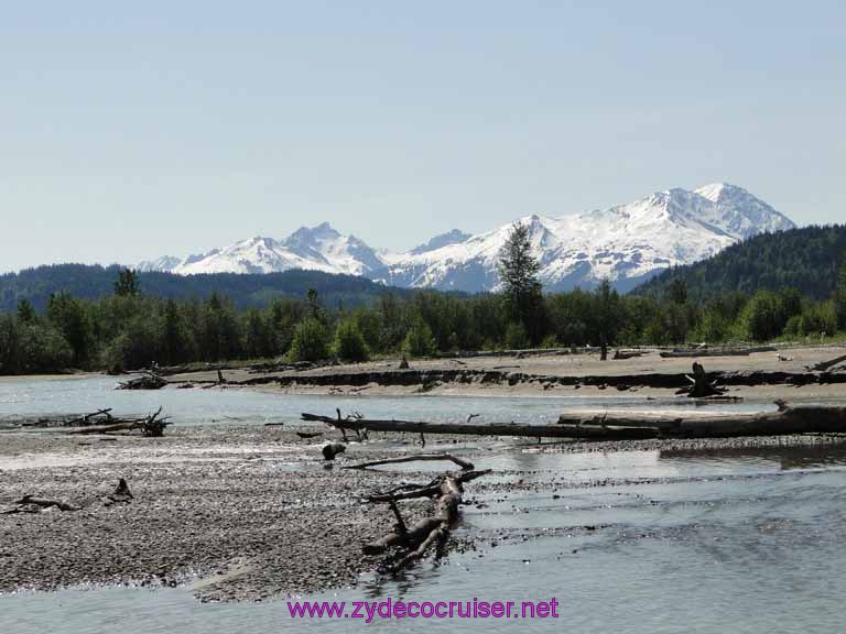 091: Carnival Spirit, Skagway, Alaska - Eagle Preserve Wildlife River Adventure 