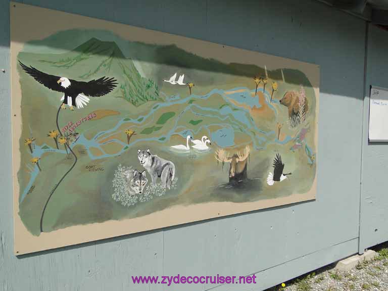 127: Carnival Spirit, Skagway, Alaska - Eagle Preserve Wildlife River Adventure 