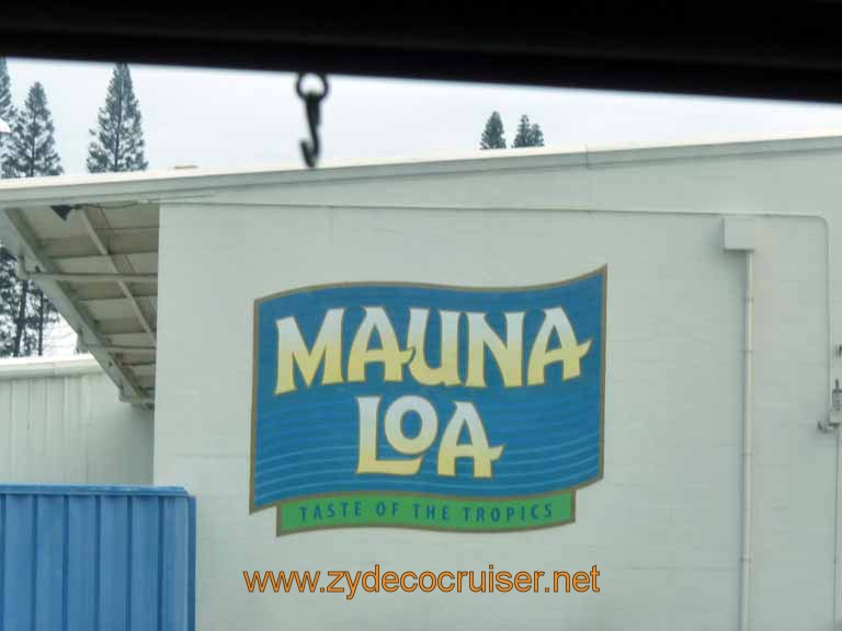 058: Carnival Spirit, Hilo, Hawaii, Mauna Loa Factory and Store