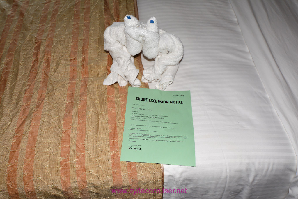 007: Carnival Splendor Panama Canal Journey Cruise, Sea Day 2, Towel Animal and Shore Excursion Change