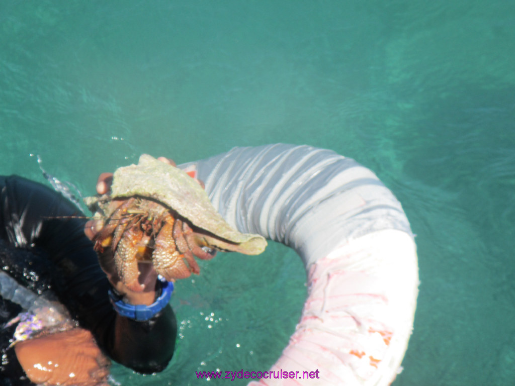 073: Carnival Sunshine, John Heald's Bloggers Cruise, BC7, Belize, Sergeant's Cay Snorkel Adventure