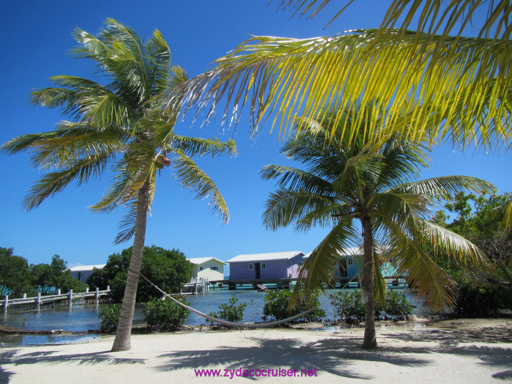 075: Carnival Sunshine, John Heald's Bloggers Cruise, BC7, Belize, Sergeant's Cay Snorkel Adventure