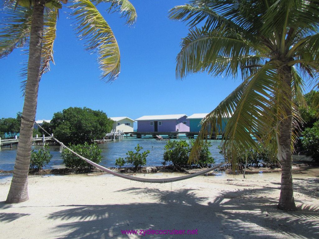 076: Carnival Sunshine, John Heald's Bloggers Cruise, BC7, Belize, Sergeant's Cay Snorkel Adventure