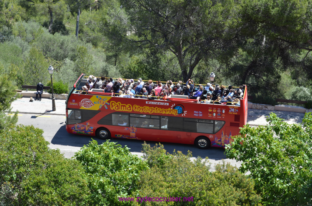 223: Carnival Sunshine Cruise, Mallorca, Bellver Castle, HoHo Bus, 