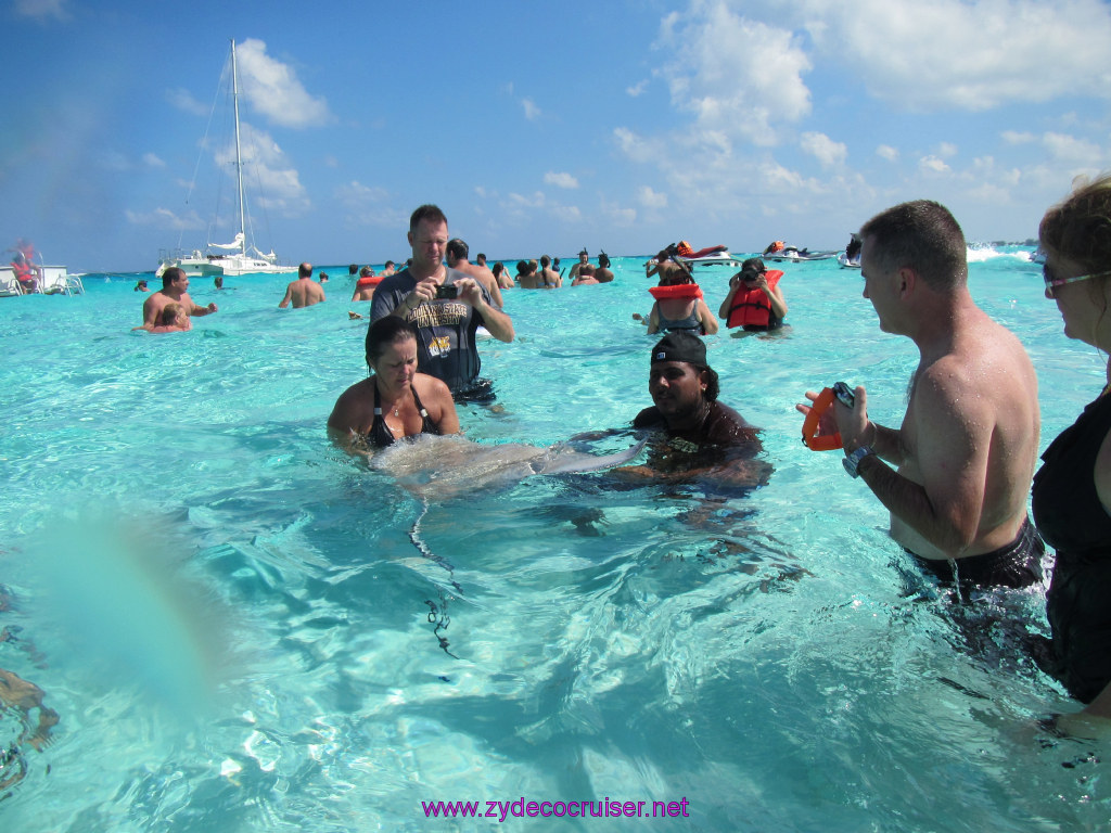 141: Carnival Sunshine Cruise, Nov 21, 2013, Grand Cayman, Sotos Cruises, Sting Ray Sandbar, 