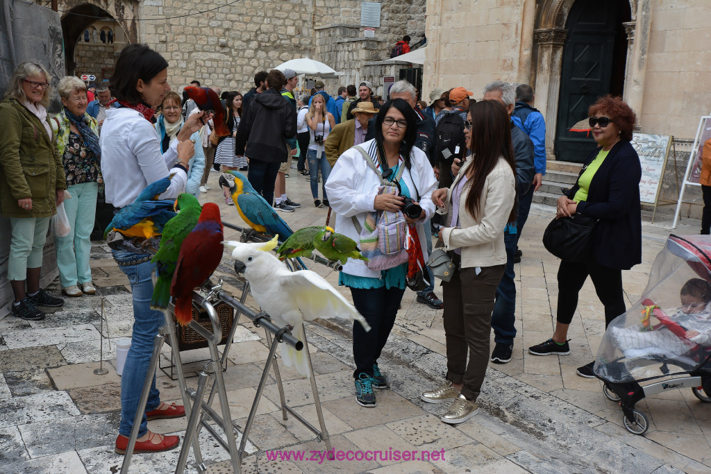 127: Carnival Vista Inaugural Voyage, Dubrovnik, 