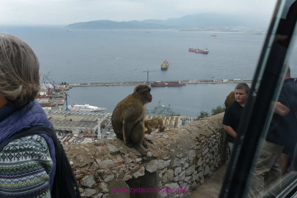 178: Carnival Vista Transatlantic Cruise, Gibraltar, Ape