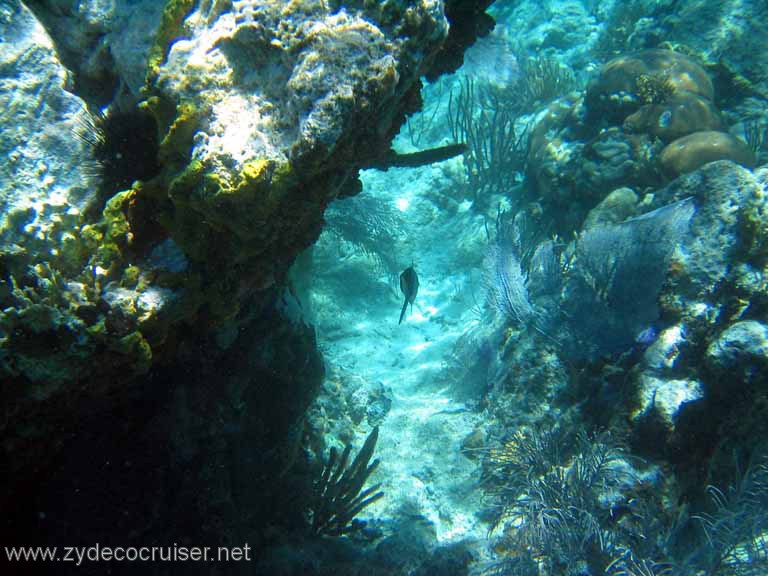 119: Sailing Yacht Arabella - British Virgin Islands - Snorkeling at The Indians
