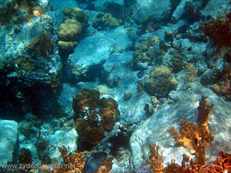400: Sailing Yacht Arabella - British Virgin Islands - Cooper Island - Cistern Rock Snorkeling