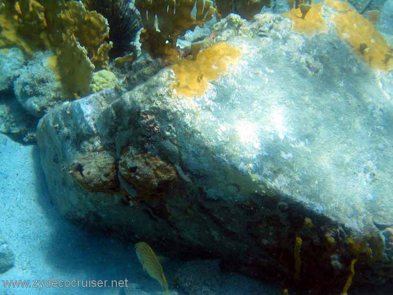 418: Sailing Yacht Arabella - British Virgin Islands - Cooper Island - Cistern Rock Snorkeling