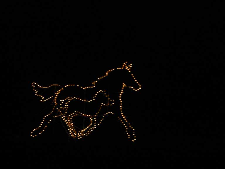 003: Kentucky Horse Park, Southern Lights, 2007