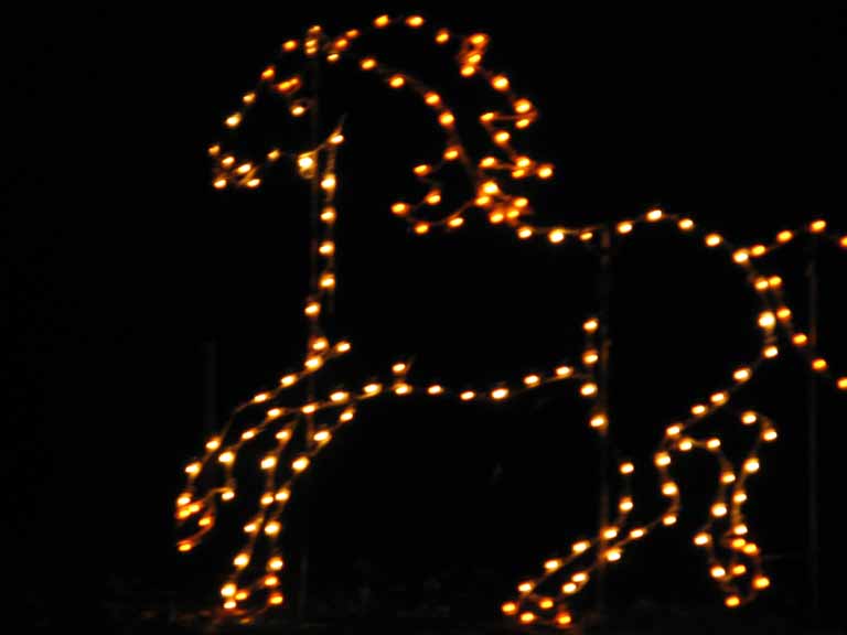 010: Kentucky Horse Park, Southern Lights, 2007