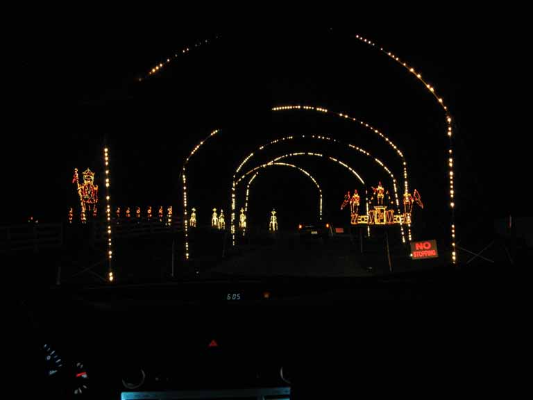 032: Kentucky Horse Park, Southern Lights, 2007