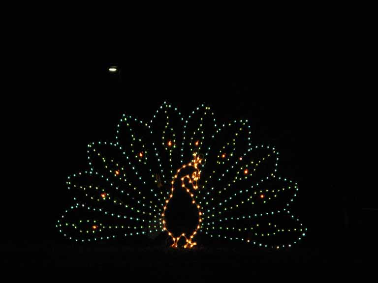 041: Kentucky Horse Park, Southern Lights, 2007