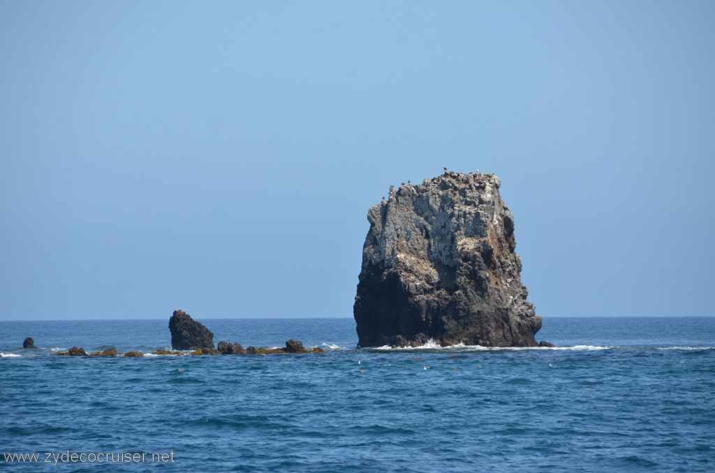 091: Island Packers, Island Wildlife Cruise, Anacapa Island, 