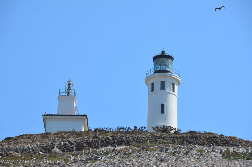 127: Island Packers, Island Wildlife Cruise, Anacapa Island, Lighthouse