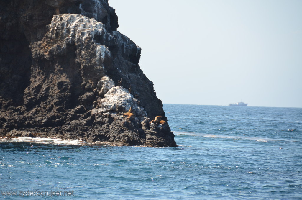 172: Island Packers, Island Wildlife Cruise, Anacapa Island, 