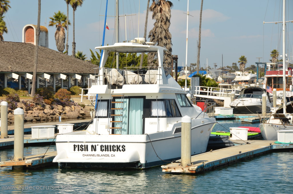 186: Island Packers, Island Wildlife Cruise, Ventura Harbor, Fish and Chicks