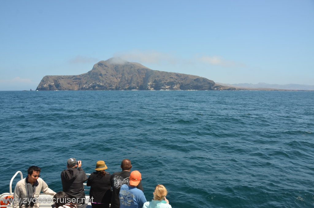 265: Island Packers, Ventura, CA, Whale Watching, Channel Islands