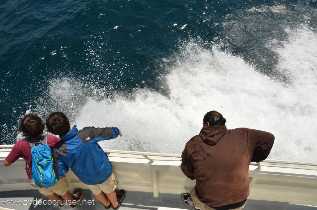 266: Island Packers, Ventura, CA, Whale Watching, 