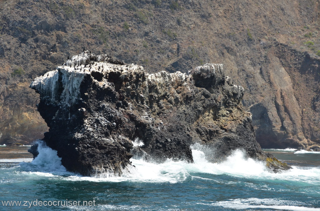 295: Island Packers, Ventura, CA, Whale Watching, Channel Islands 