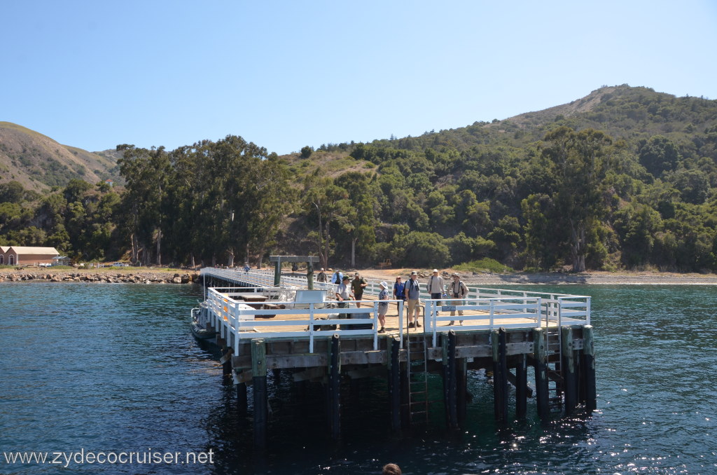 314: Island Packers, Ventura, CA, Whale Watching, Pier at Prisoner's Harbor, Santa Cruz Island, Channel Islands, CA