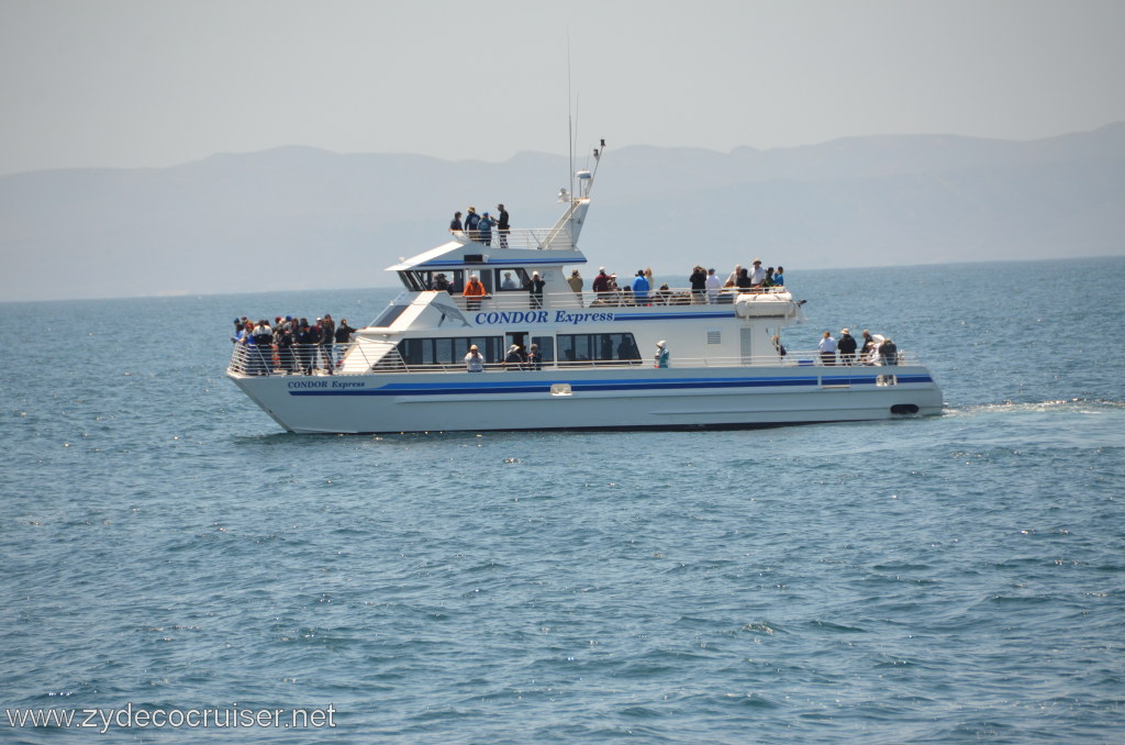 085: Island Packers, Ventura, CA, Whale Watching, A Whale Watching Boat from Santa Barbara, Condor Express