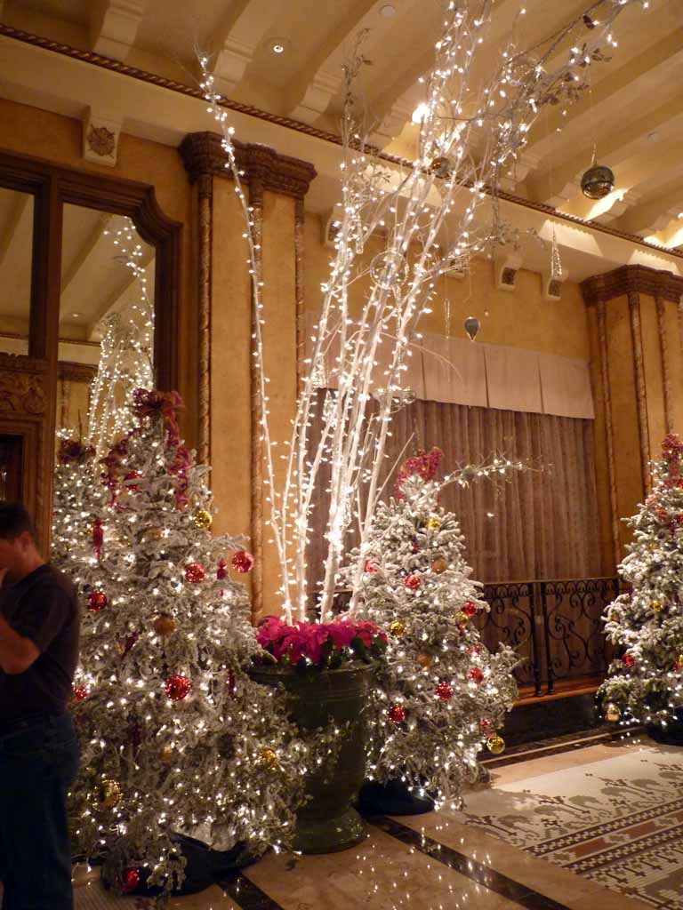 075: Christmas, 2009, New Orleans, The Roosevelt Hotel, 