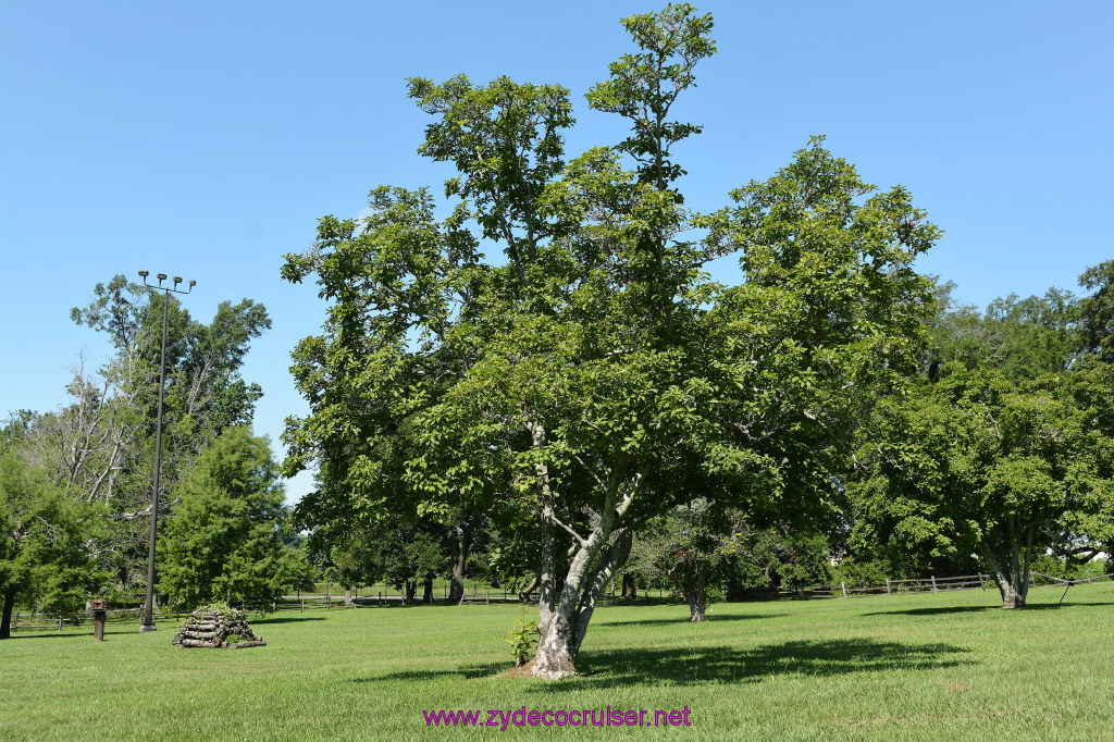 034: Magnolia Mound Plantation, Baton Rouge, LA