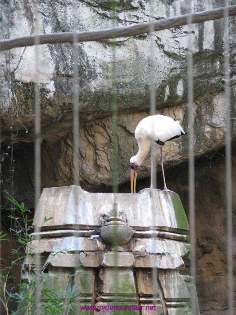 014: Audubon Zoo, New Orleans, Louisiana, 