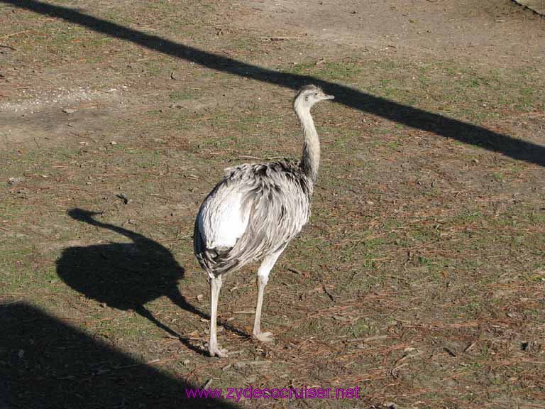 052: Audubon Zoo, New Orleans, Louisiana, 