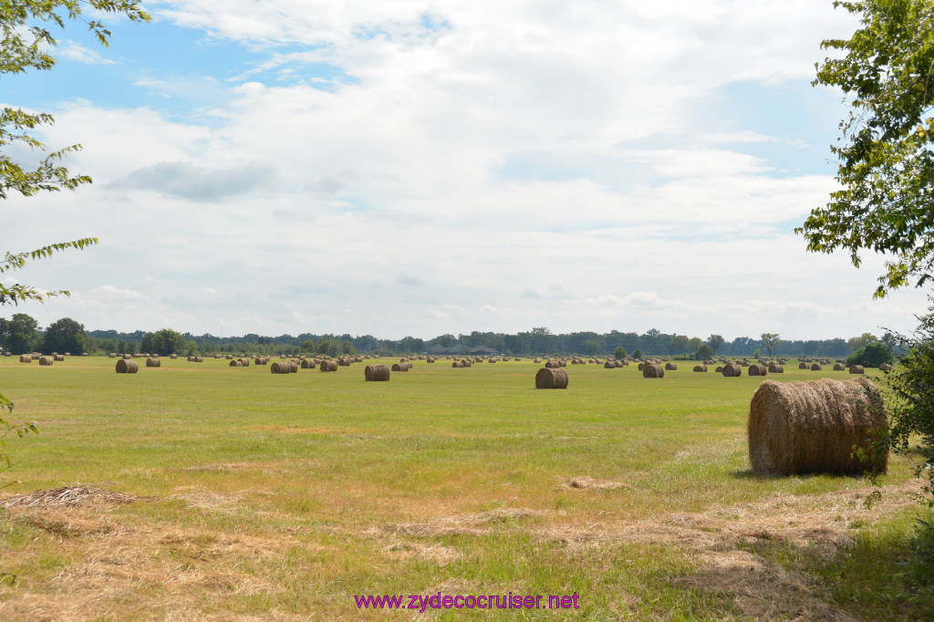 002: Field of Dreams, the hay field.