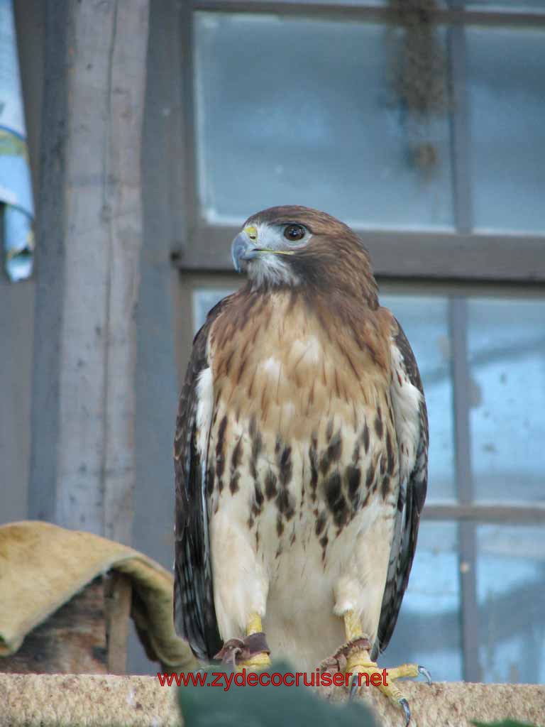 074: Audubon Aquarium of the Americas, New Orleans, LA 