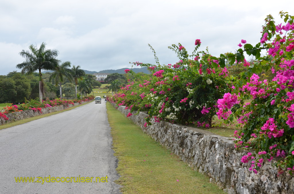 033: Carnival Magic, BC5, John Heald's Bloggers Cruise 5, Montego Bay, Jamaica, Rose Hall Great House. Beware of tourist buses 