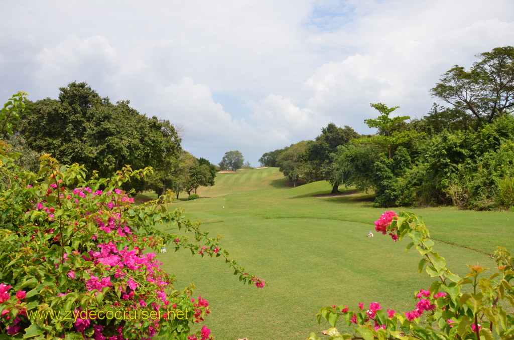 036: Carnival Magic, BC5, John Heald's Bloggers Cruise 5, Montego Bay, Jamaica, White Witch Golf Course at Rose Hall