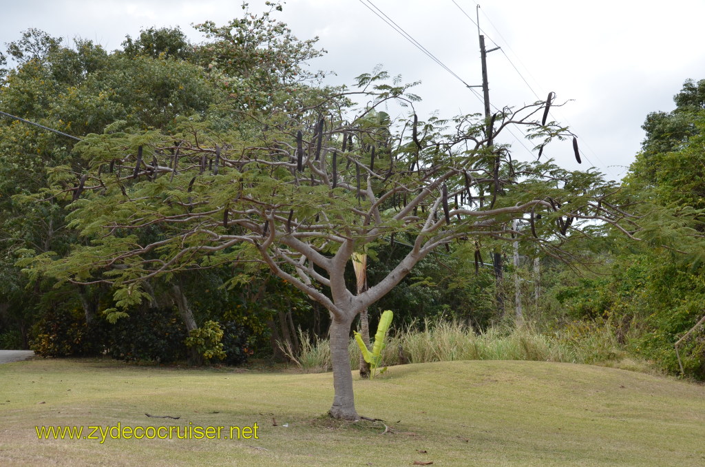 194: Carnival Magic, BC5, John Heald's Bloggers Cruise 5, Montego Bay, Jamaica, 