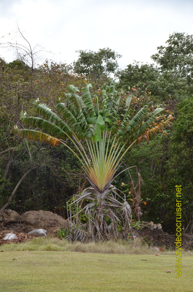 197: Carnival Magic, BC5, John Heald's Bloggers Cruise 5, Montego Bay, Jamaica, 